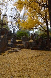 公园风景 