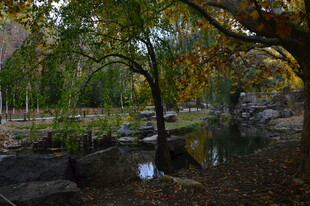 公园风景 