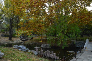 公园风景  