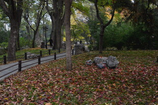 公园风景  