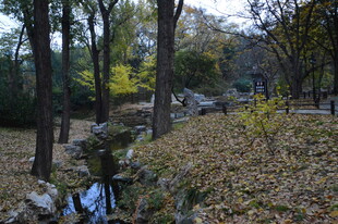 公园风景 