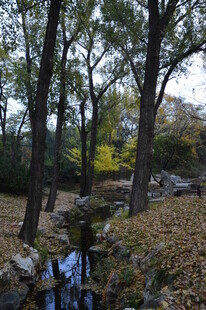 公园风景  