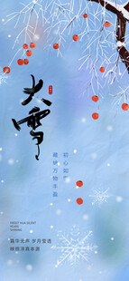 大雪海报