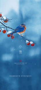 小雪地产海报展架画面