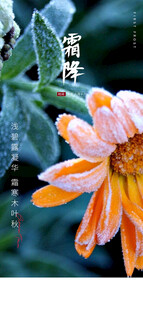 小雪地产海报展架画面