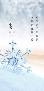 小雪地产海报展架画面