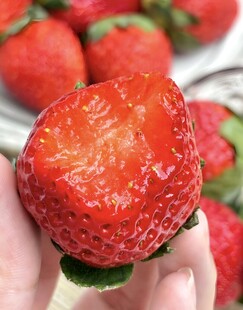 草莓