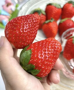 草莓