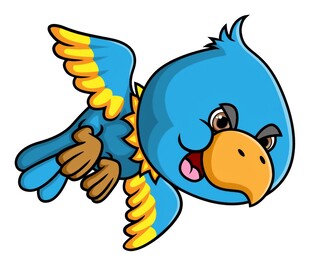 鸟飞得很快摆出一脸愤怒