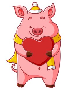 猪举办情人节爱情活动
