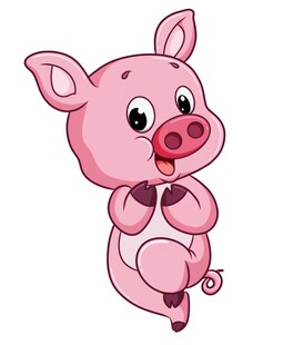 猪站着开心地