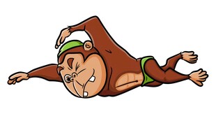 专业游泳者黑猩猩池游泳