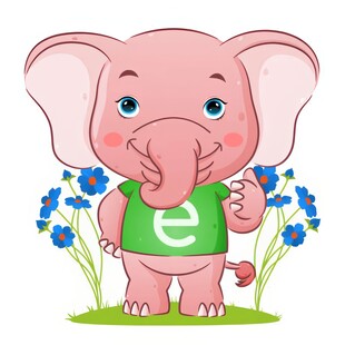 字母衬衫大象竖起大拇指