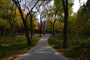 公园风景 