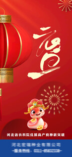 元旦 新年