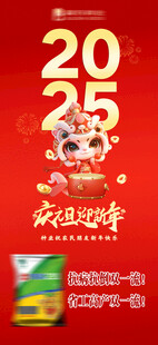 元旦 新年