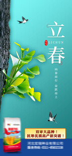 立春