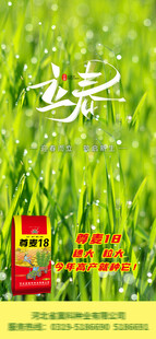 立春