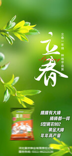 立春