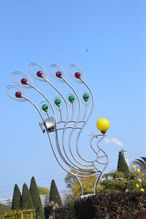  公园风景 