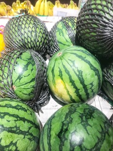 西瓜