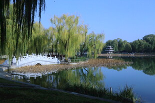 公园风景 