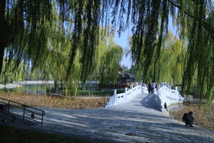 公园风景 