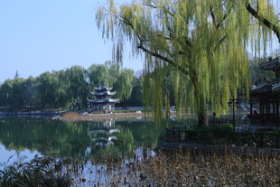 公园风景  
