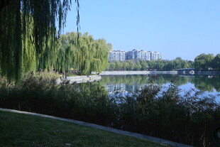 公园风景 