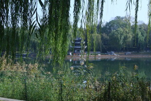 公园风景  