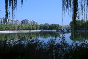 公园风景 