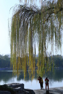 公园风景 