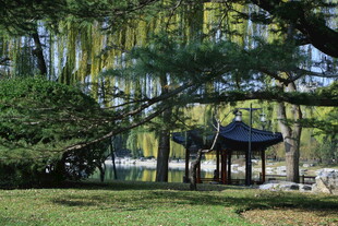 公园风景  