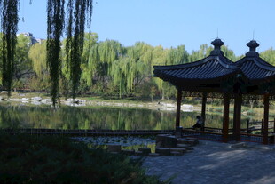 陶然亭风景 