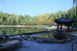 公园风景 