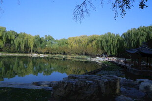 公园风景 