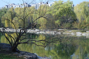 公园风景 