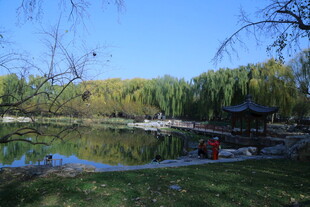 公园风景 