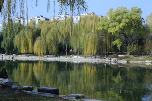 公园风景 