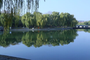 公园风景  