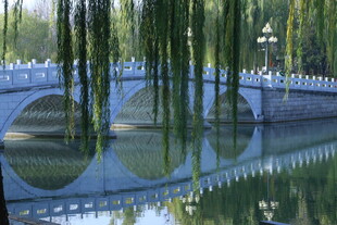 陶然亭风景 
