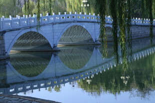 公园风景  