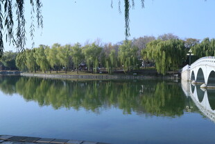 公园风景  