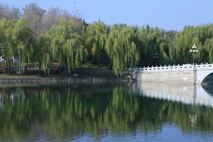 公园风景  