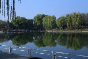 公园风景  