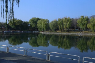 公园风景 