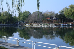 公园风景 