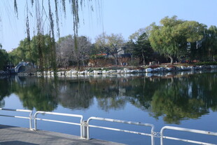 公园风景  