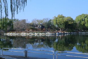 公园风景 