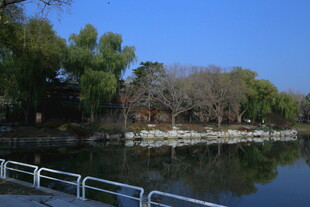 公园风景  